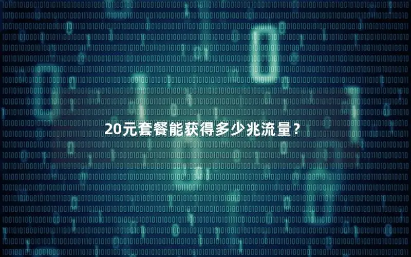 20元套餐能获得多少兆流量？