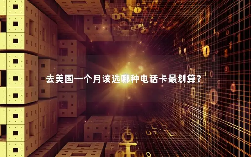 去美国一个月该选哪种电话卡最划算？