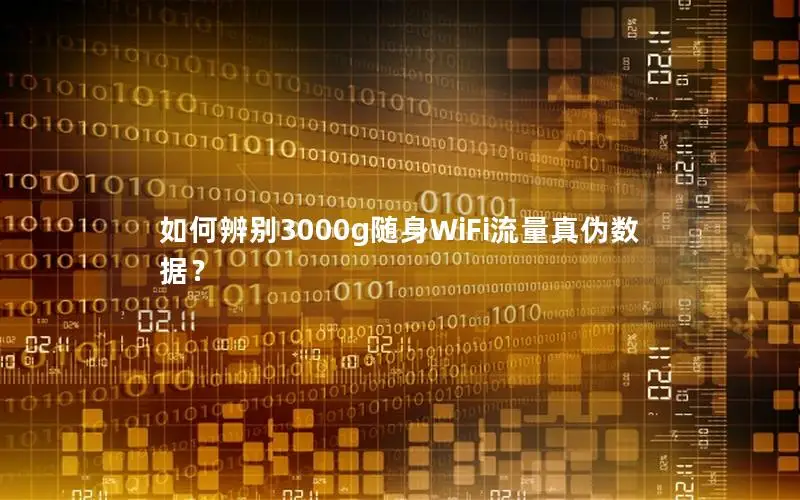 如何辨别3000g随身WiFi流量真伪数据？