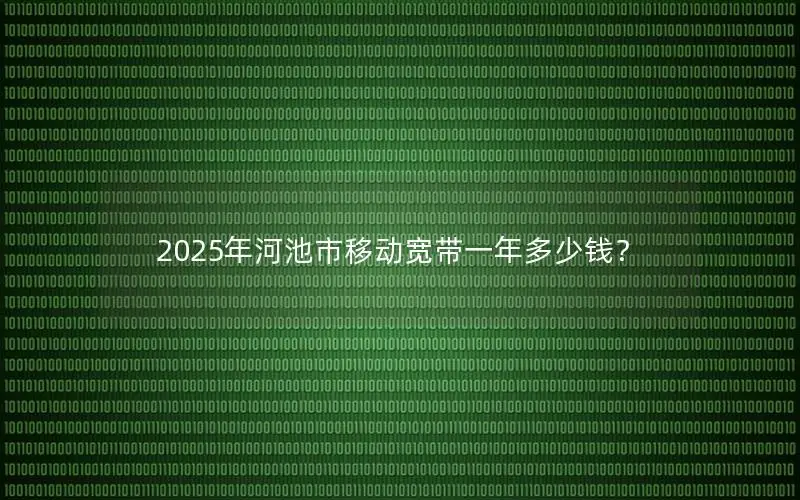 2025年河池市移动宽带一年多少钱？