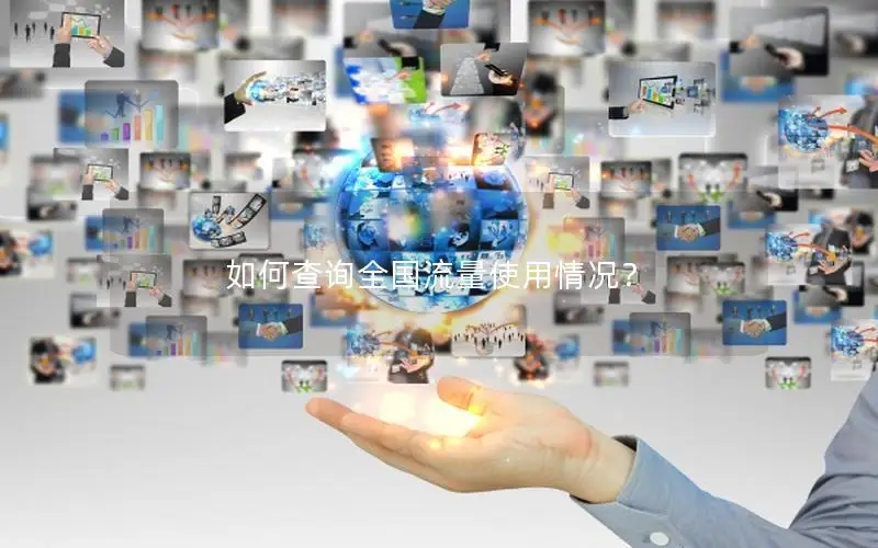 如何查询全国流量使用情况？