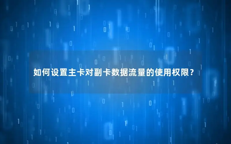 如何设置主卡对副卡数据流量的使用权限？
