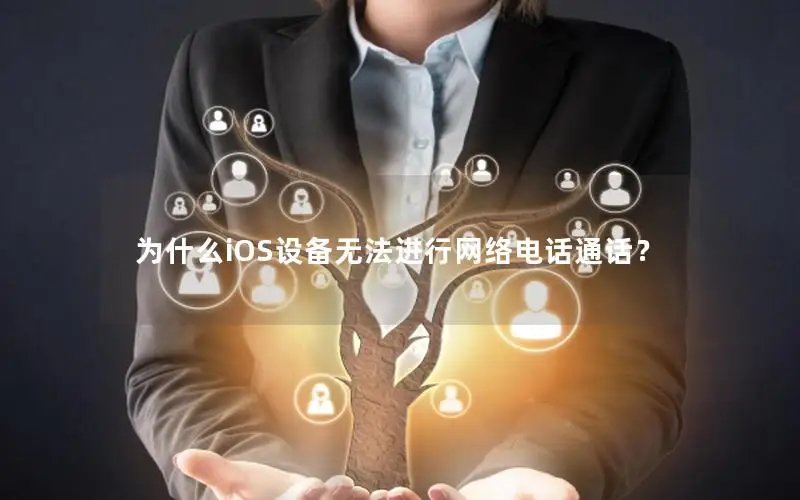 为什么iOS设备无法进行网络电话通话？