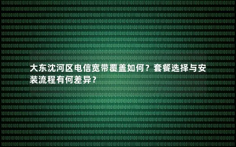 大东沈河区电信宽带覆盖如何？套餐选择与安装流程有何差异？