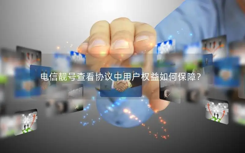 电信靓号查看协议中用户权益如何保障？