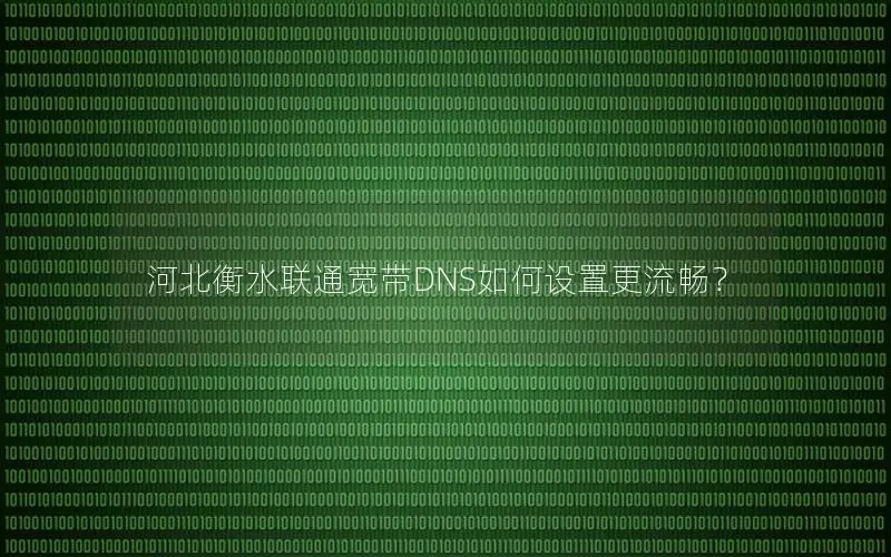 河北衡水联通宽带DNS如何设置更流畅？