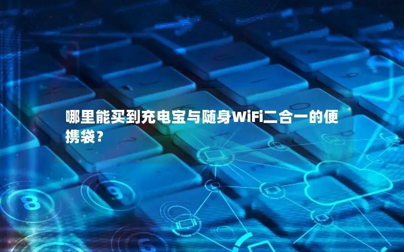 哪里能买到充电宝与随身WiFi二合一的便携袋？