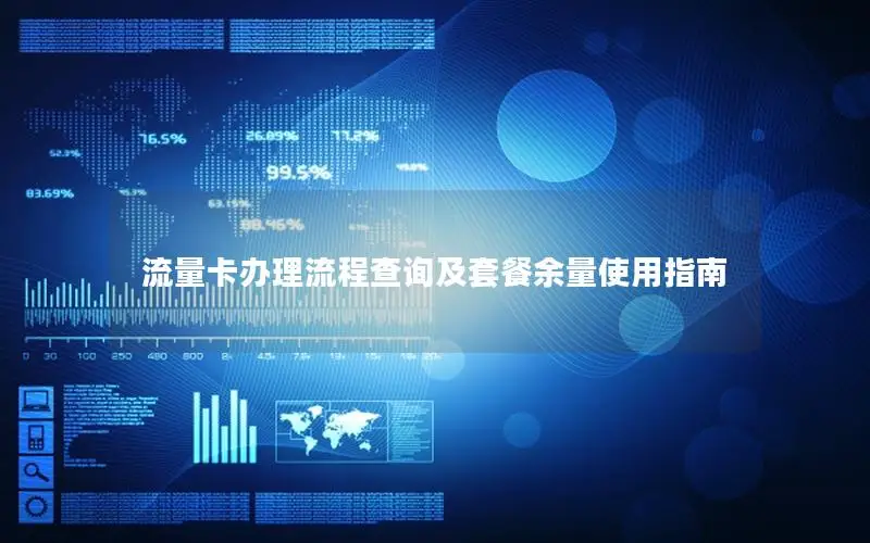 流量卡办理流程查询及套餐余量使用指南