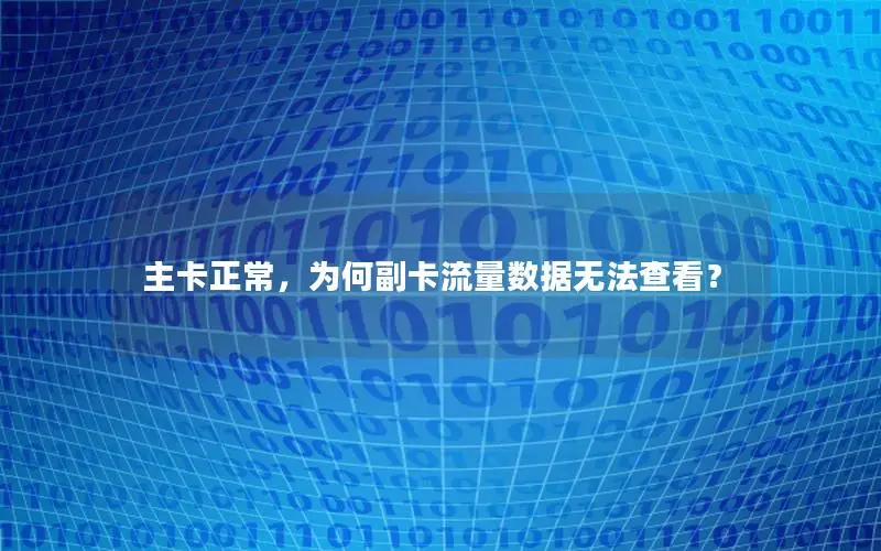 主卡正常，为何副卡流量数据无法查看？