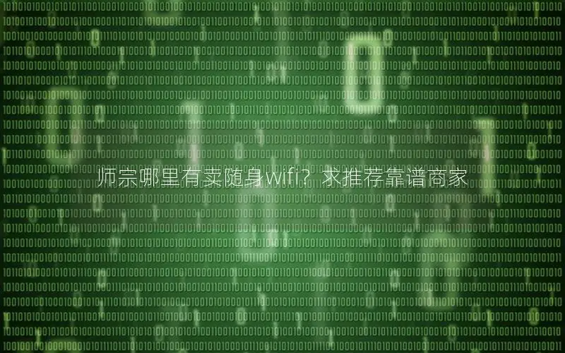 师宗哪里有卖随身wifi？求推荐靠谱商家