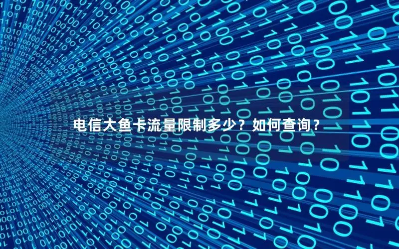 电信大鱼卡流量限制多少？如何查询？