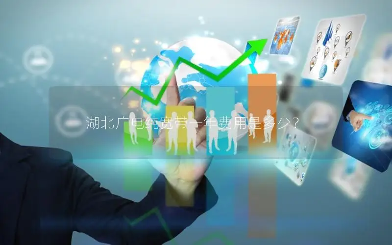 湖北广电纯宽带一年费用是多少？