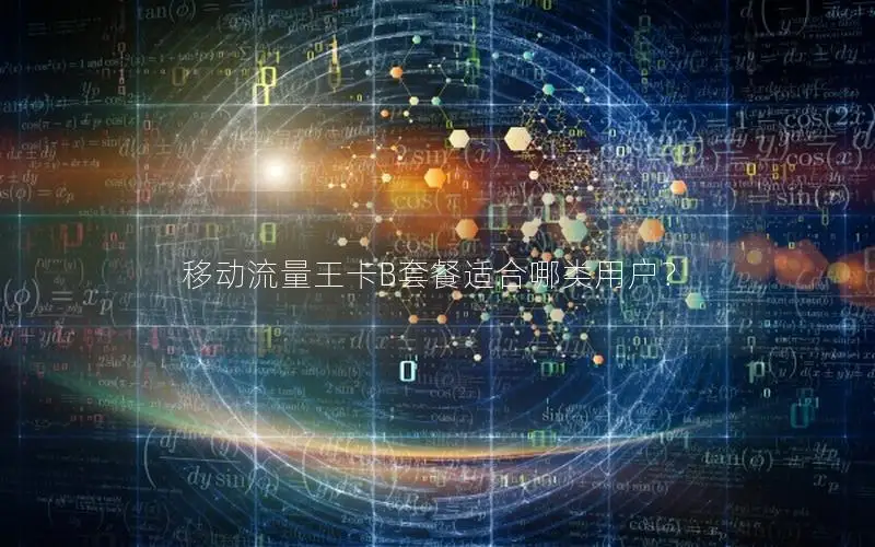移动流量王卡B套餐适合哪类用户？