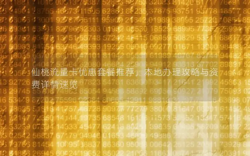 仙桃流量卡优惠套餐推荐，本地办理攻略与资费详情速览