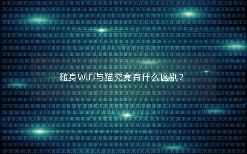 随身WiFi与猫究竟有什么区别？