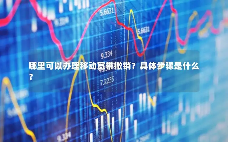 哪里可以办理移动宽带撤销？具体步骤是什么？