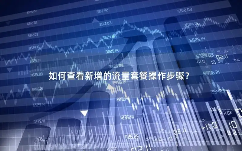 如何查看新增的流量套餐操作步骤？