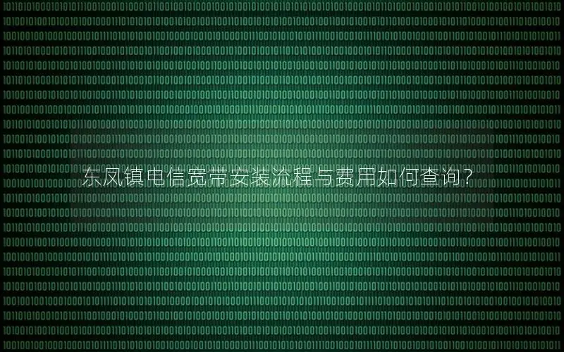 东凤镇电信宽带安装流程与费用如何查询？