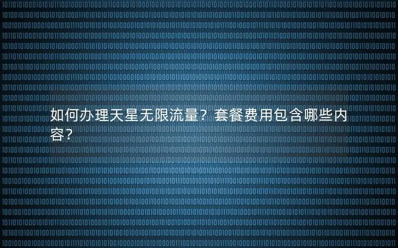 如何办理天星无限流量？套餐费用包含哪些内容？