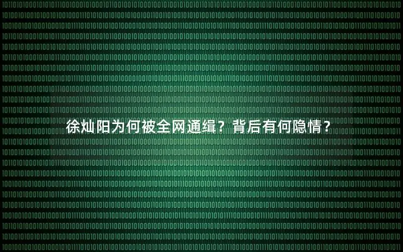 徐灿阳为何被全网通缉？背后有何隐情？