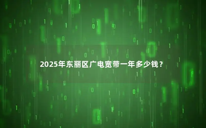 2025年东丽区广电宽带一年多少钱？