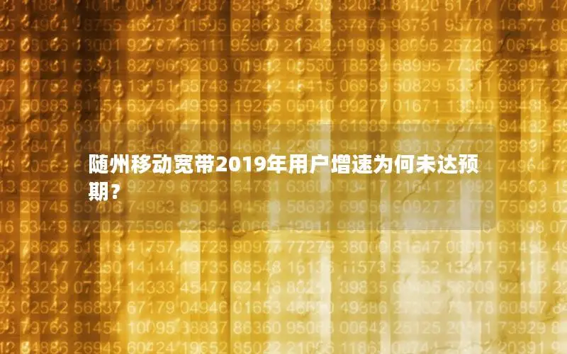 随州移动宽带2019年用户增速为何未达预期？