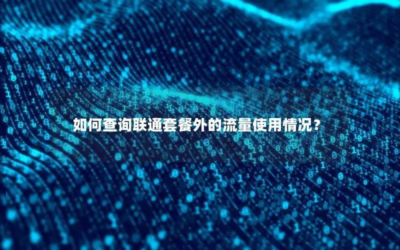 如何查询联通套餐外的流量使用情况？