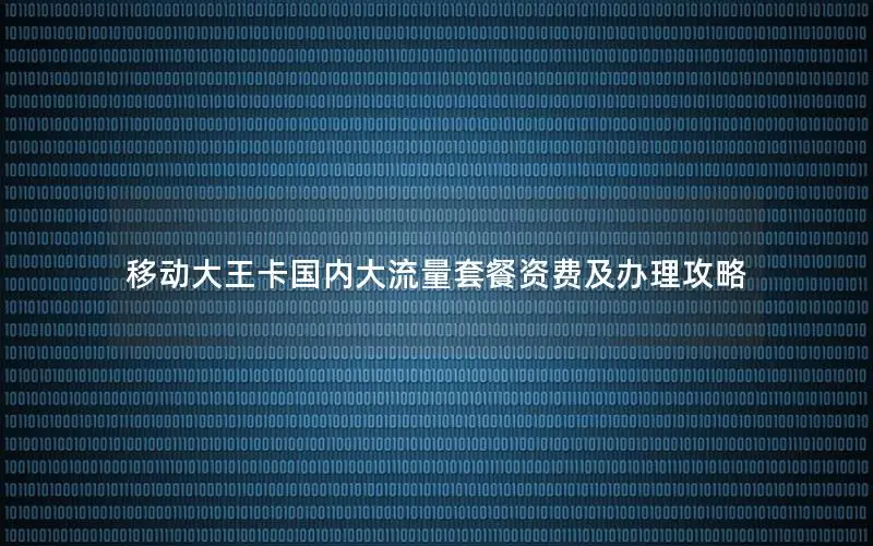 移动大王卡国内大流量套餐资费及办理攻略