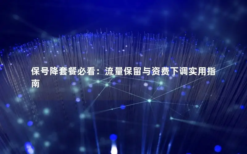 保号降套餐必看：流量保留与资费下调实用指南