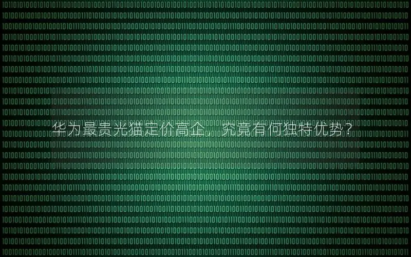 华为最贵光猫定价高企，究竟有何独特优势？