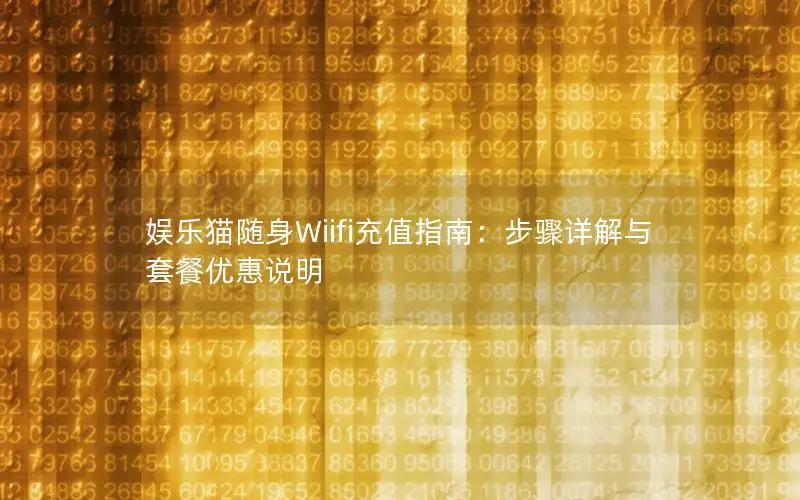 娱乐猫随身Wiifi充值指南：步骤详解与套餐优惠说明