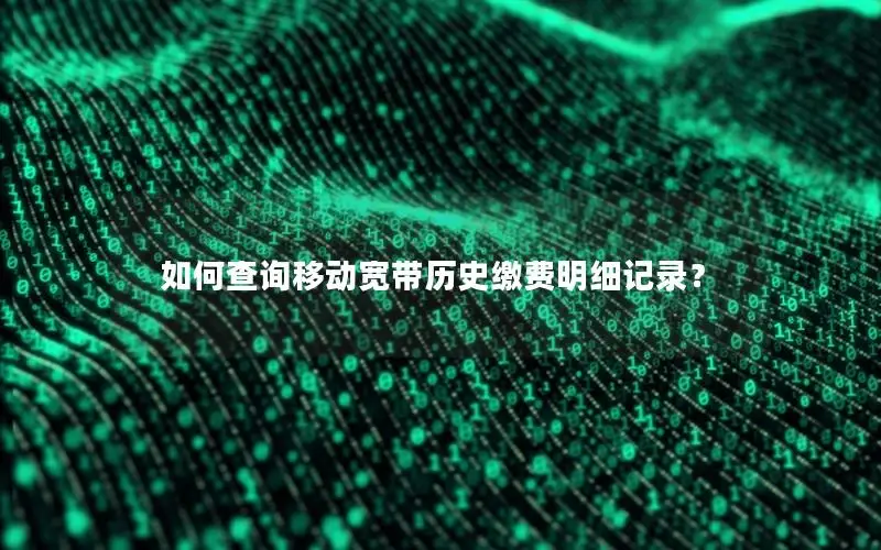 如何查询移动宽带历史缴费明细记录？