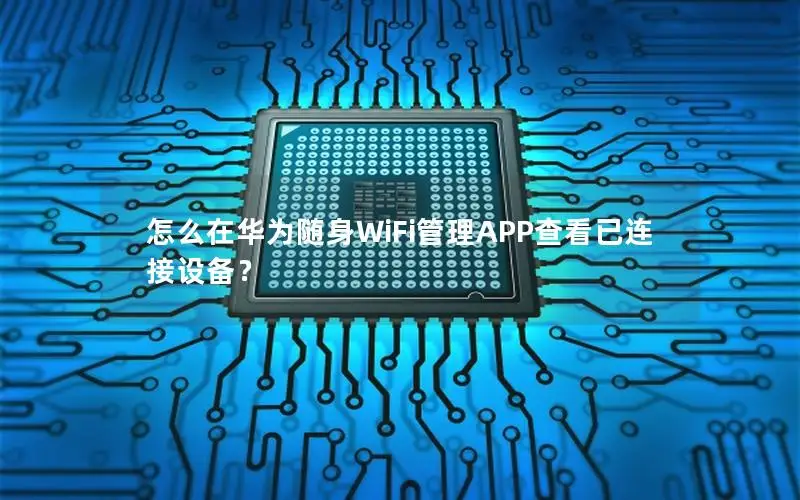 怎么在华为随身WiFi管理APP查看已连接设备？