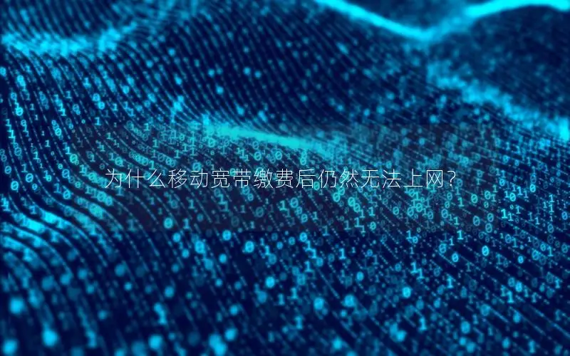 为什么移动宽带缴费后仍然无法上网？