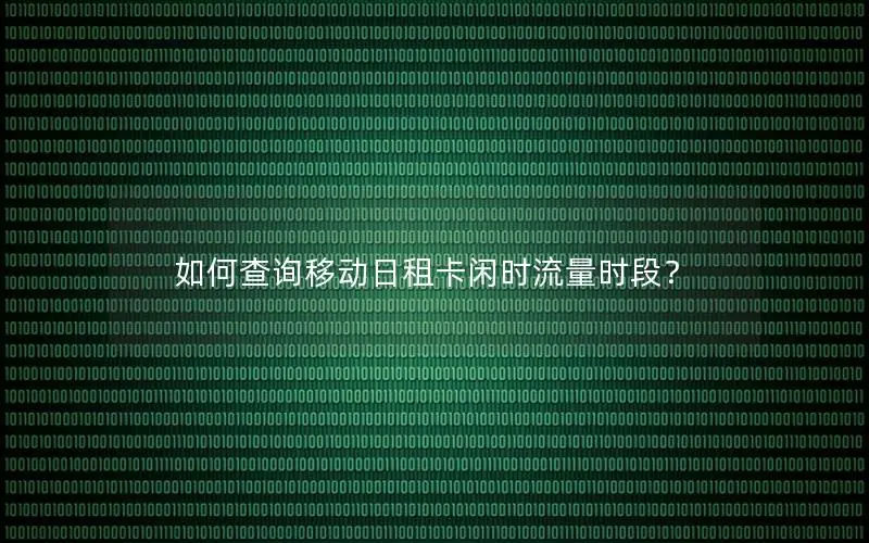 如何查询移动日租卡闲时流量时段？
