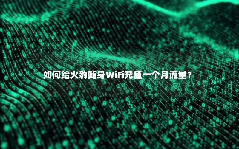 如何给火豹随身WiFi充值一个月流量？