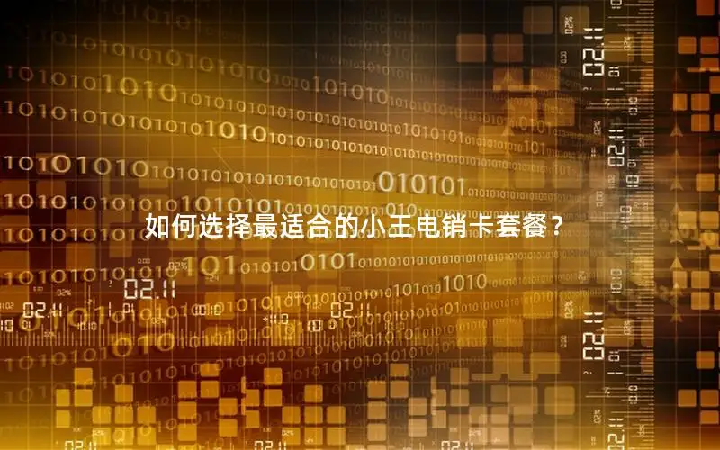 如何选择最适合的小王电销卡套餐？