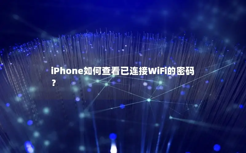 iPhone如何查看已连接WiFi的密码？