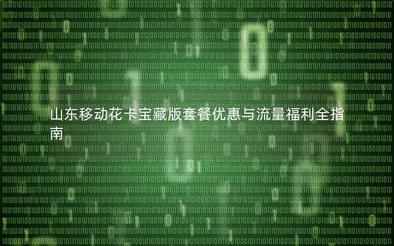 山东移动花卡宝藏版套餐优惠与流量福利全指南