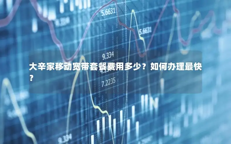 大辛家移动宽带套餐费用多少？如何办理最快？