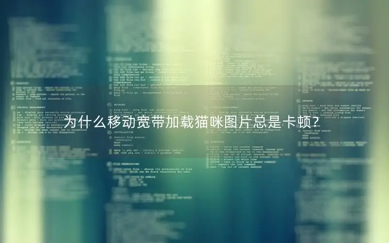 为什么移动宽带加载猫咪图片总是卡顿？