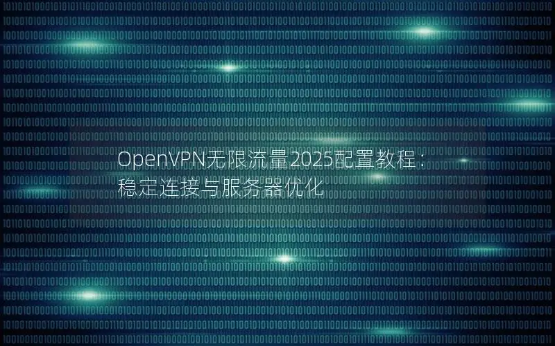 OpenVPN无限流量2025配置教程：稳定连接与服务器优化