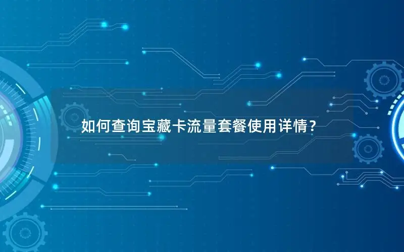 如何查询宝藏卡流量套餐使用详情？
