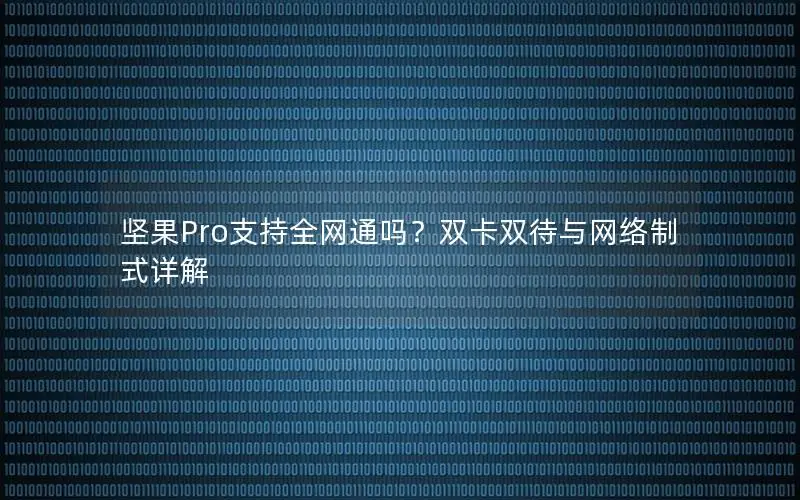 坚果Pro支持全网通吗？双卡双待与网络制式详解