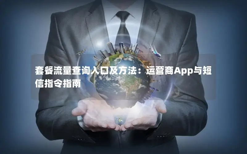 套餐流量查询入口及方法：运营商App与短信指令指南