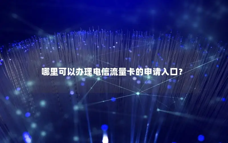 哪里可以办理电信流量卡的申请入口？
