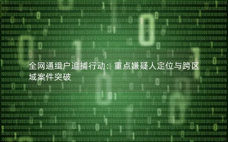 全网通缉户追捕行动：重点嫌疑人定位与跨区域案件突破