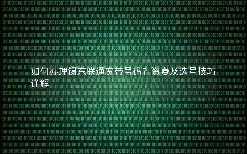 如何办理锡东联通宽带号码？资费及选号技巧详解