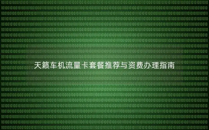 天籁车机流量卡套餐推荐与资费办理指南
