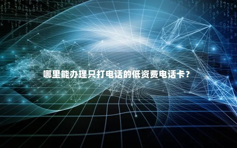 哪里能办理只打电话的低资费电话卡？